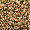 Sunset Flower Wall
