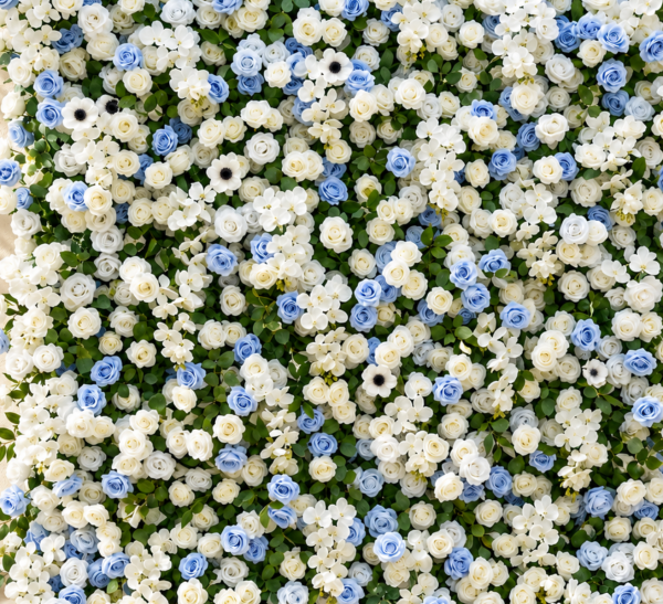 SkyBlue Flower Wall