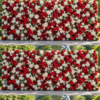 Christmas Rose Elegance Wall.